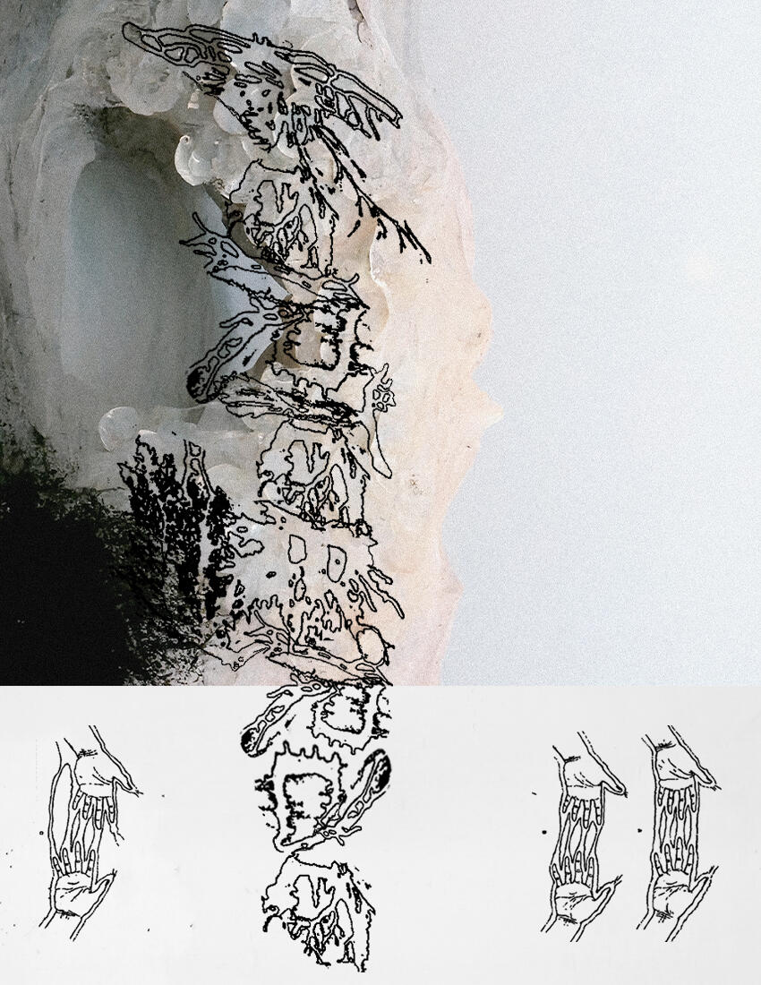 VERTEBRAE, THE PHOTOBOOK VERTEBRAE, THE PHOTOBOOK